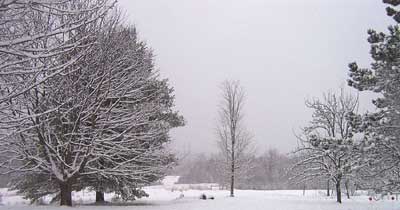 Snow in Maine